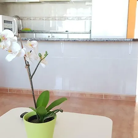 Apartament Apartamento Alejandro Molinos
